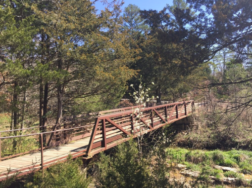 A wooden bridge spans a small creek, surrounded by lush green trees and a clear blue sky.