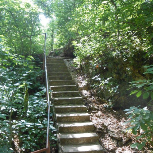 A stone staircase leads upward through a lush, green forest with sunlight filtering through the trees.