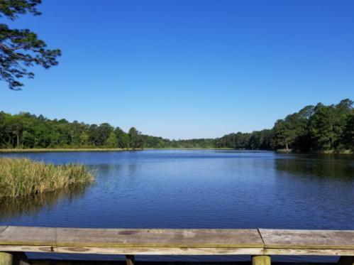 A serene lake surrounded by lush greenery under a clear blue sky, viewed from a wooden dock.