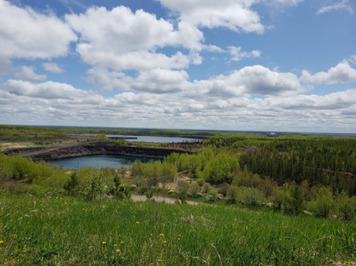 A scenic view of a lush green landscape with a lake and cloudy blue sky in the background.