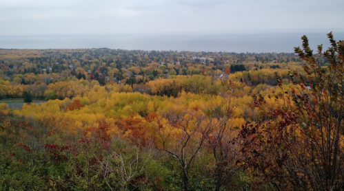 A panoramic view of a vibrant autumn landscape with colorful trees and a distant lake under a cloudy sky.