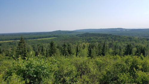 A panoramic view of lush green forests and rolling hills under a clear blue sky.