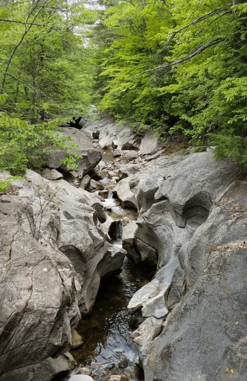 A narrow stream flows between large, smooth rocks, surrounded by lush green trees in a serene natural setting.