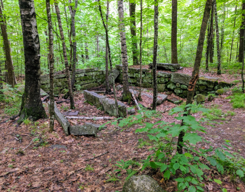 Ruins of a stone structure surrounded by lush green trees and foliage in a forested area.