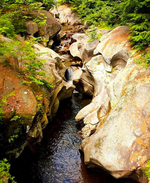 A serene stream flows through rocky terrain, surrounded by lush greenery and moss-covered boulders.