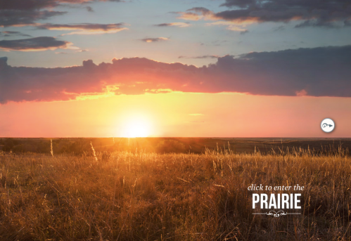 Sunset over a golden prairie, with vibrant clouds and a serene landscape. Text: "click to enter the PRAIRIE."