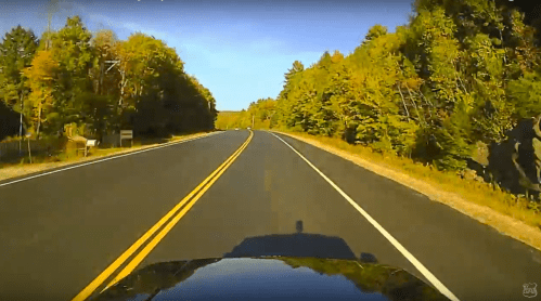 A scenic road lined with trees in autumn colors under a clear blue sky.