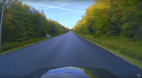 A scenic road lined with trees in autumn colors under a clear blue sky.