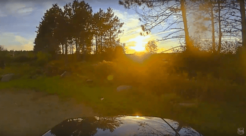 A car's view of a sunset through trees, with golden light illuminating the landscape.