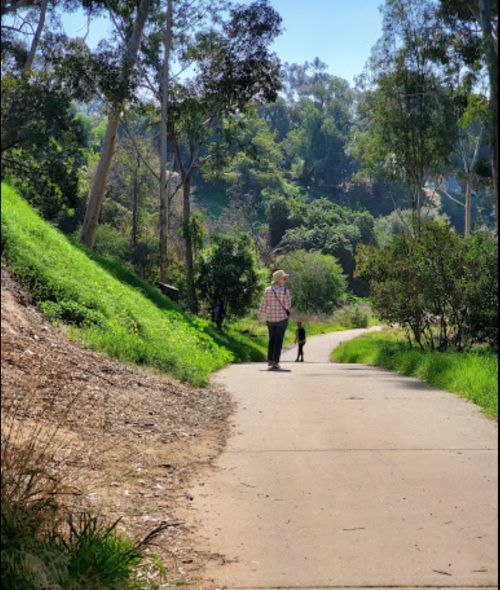 A person walks along a path in a green park, accompanied by a child, surrounded by trees and sunlight.