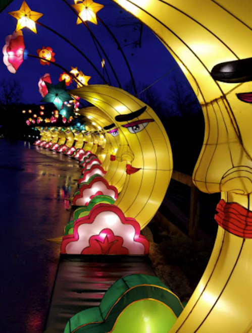 Colorful lanterns shaped like moons and flowers illuminate a pathway at night, creating a whimsical atmosphere.