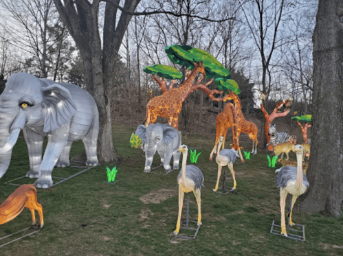 Colorful illuminated animal sculptures, including elephants, giraffes, zebras, and ostriches, among trees in a park.