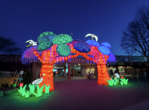 Colorful illuminated trees with birds and plants at a zoo entrance, glowing against a twilight sky.