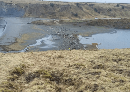 A coastal landscape with a muddy shore, scattered debris, and a distant road along a grassy hillside.