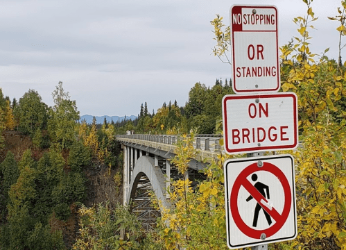 A bridge surrounded by trees, with signs prohibiting stopping and standing on the bridge.