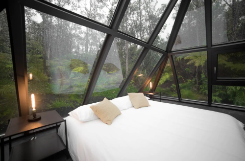Cozy bedroom with a large glass wall overlooking a lush, rainy forest. Soft lighting and a minimalist design.