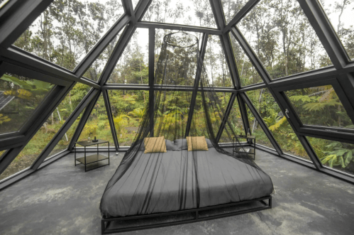 A modern bedroom with a black bed and large glass windows overlooking a lush green forest.