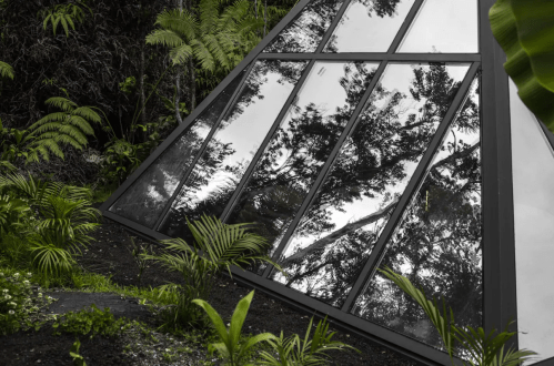 A modern glass structure reflects trees and foliage, surrounded by lush greenery in a natural setting.