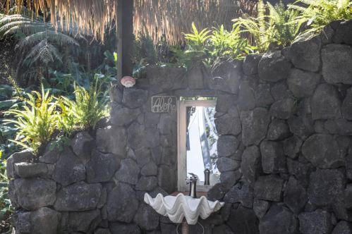 A rustic stone wall with a mirror framed by greenery and a seashell-shaped sink below, creating a serene outdoor space.