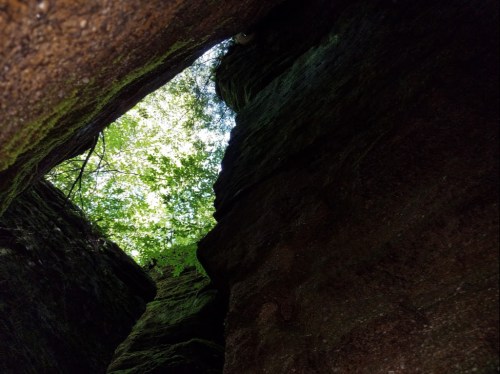 View looking up from a narrow canyon, framed by moss-covered rock walls and green leaves above.