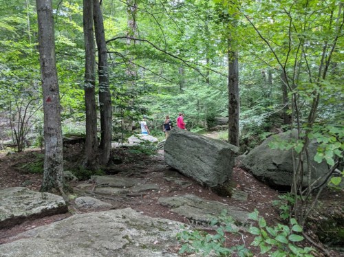 Three people stand among large rocks in a lush green forest, surrounded by trees and foliage.