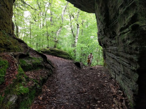 A person walks along a forest path surrounded by moss-covered rocks and lush green trees.