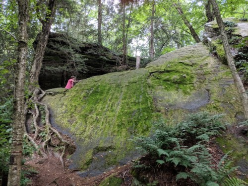 A person in a pink dress stands on a moss-covered rock in a lush, green forest.