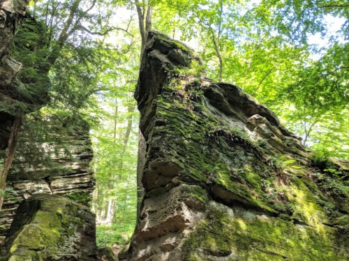 A tall, moss-covered rock formation surrounded by lush green trees and sunlight filtering through the canopy.