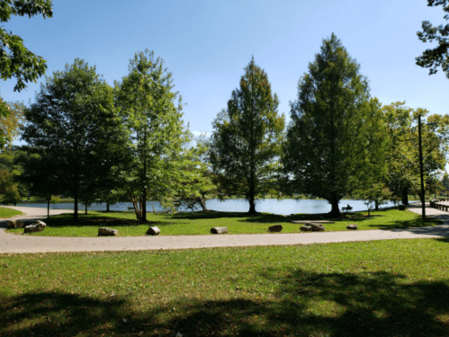 A serene park scene with trees lining a path beside a calm lake under a clear blue sky.