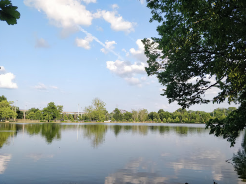 A serene lake reflecting trees and clouds under a blue sky, with greenery surrounding the water's edge.