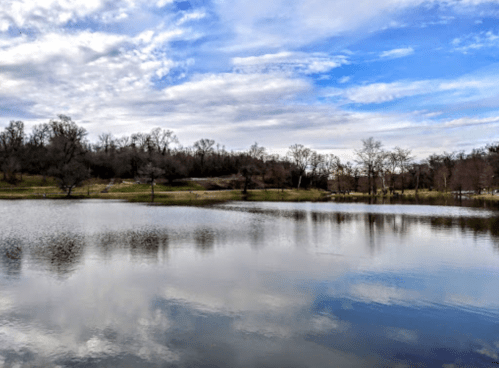 A serene lake reflecting a cloudy sky, surrounded by trees and grassy areas.