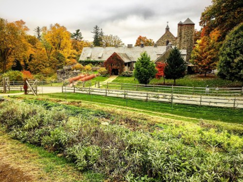 A stone building surrounded by colorful autumn trees and a green lawn, with a gravel path leading to the entrance.