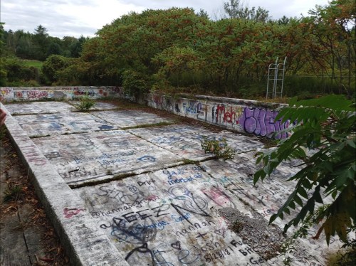 Abandoned swimming pool covered in graffiti, surrounded by overgrown vegetation and trees.