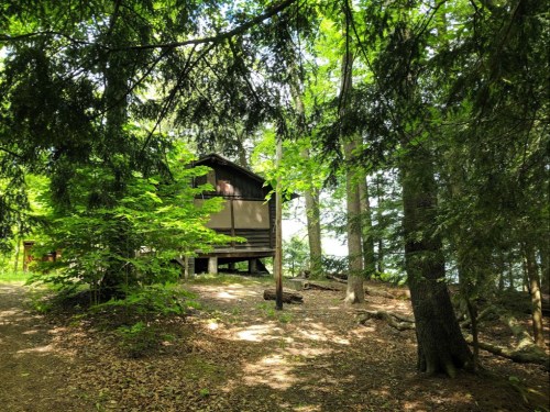 A rustic cabin nestled among lush green trees, with sunlight filtering through the foliage.