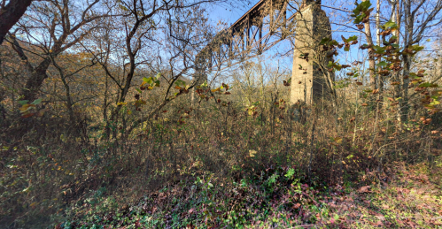 A view of a bridge towering over a dense, green landscape with trees and underbrush under a clear blue sky.
