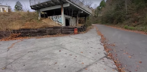 Abandoned building with graffiti, surrounded by overgrown vegetation and fallen leaves, next to a paved road.