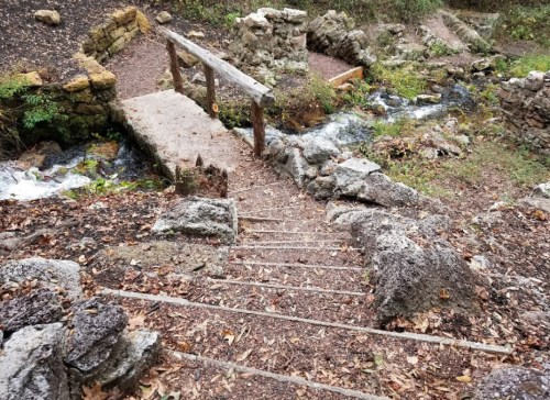 A wooden bridge over a stream, with stone steps leading down through a forested area covered in leaves.