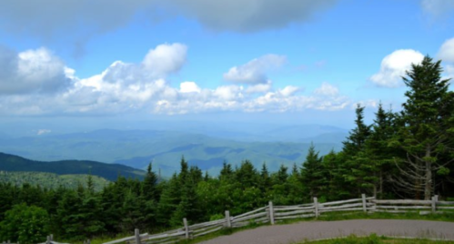 A scenic view of rolling mountains under a blue sky with fluffy clouds, framed by green trees and a wooden fence.