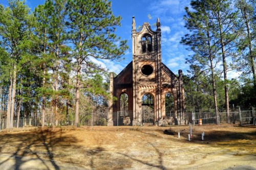 Ruins of a gothic-style building surrounded by tall pine trees under a clear blue sky.