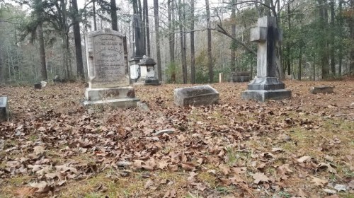 A quiet cemetery scene with old gravestones surrounded by fallen leaves and trees in the background.