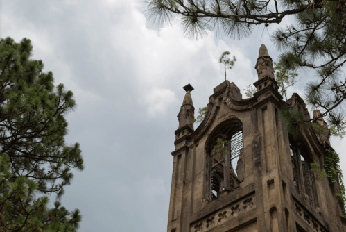 A weathered tower with greenery growing on it, surrounded by tall pine trees under a cloudy sky.