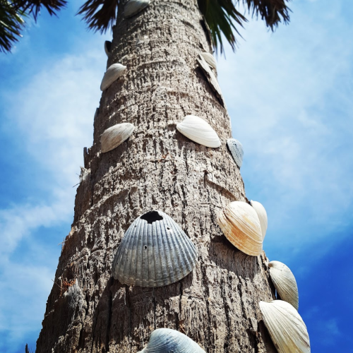 A palm tree trunk adorned with various seashells against a bright blue sky.