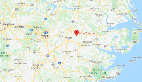 Map showing Wilson, North Carolina, with a marker for "It's A Zoo Life" nearby.