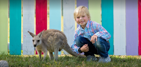 A smiling child kneels next to a kangaroo in front of a colorful wooden fence.