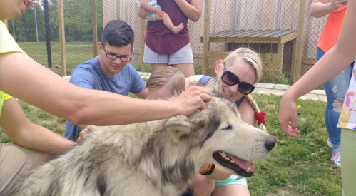 A group of people petting a large, friendly dog in a grassy area, with a fenced enclosure in the background.