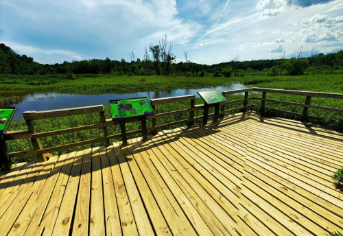 Wooden observation deck overlooking a lush wetland with informational signs and a clear blue sky.