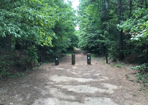 A forested path with two wooden posts marking the trail entrance, surrounded by lush green trees and underbrush.