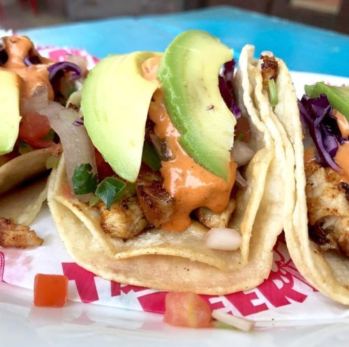 Three tacos filled with grilled chicken, avocado, cabbage, and a drizzle of sauce, served on a colorful plate.