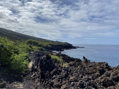 Rocky coastline with lush greenery and a calm ocean under a partly cloudy sky.