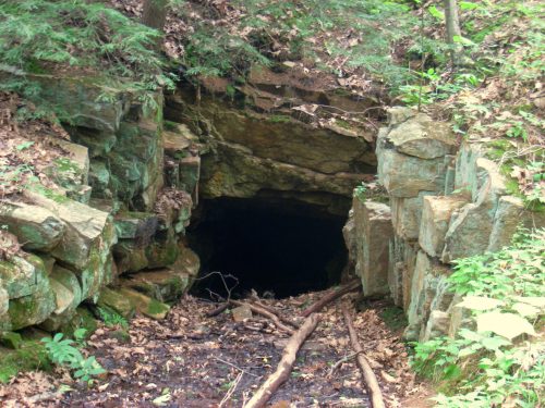 A dark cave entrance surrounded by rocky terrain and forest foliage, with fallen branches in the foreground.